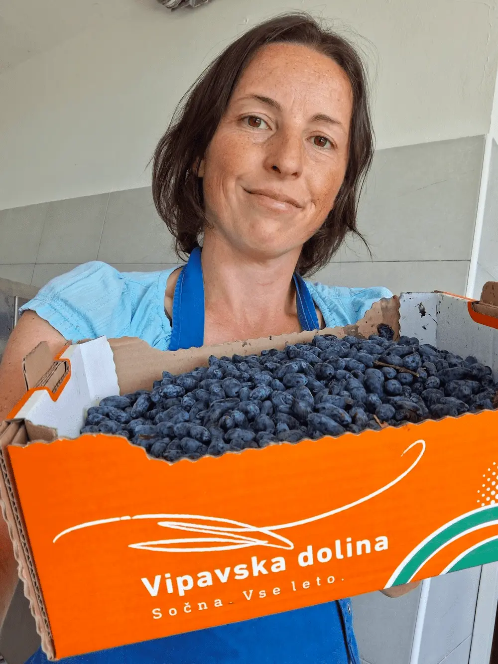 Haskap jagode sibirske borovnice
